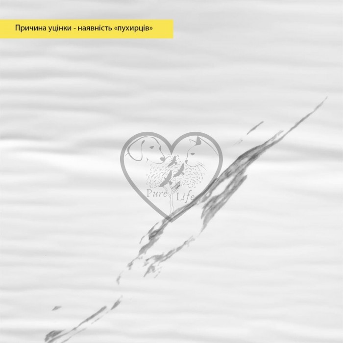 УЦІНКА Самоклеюча стінова PET плитка в рулоні 600х3000х2мм SW-00002876 УЦІНКА Самоклеюча стінова PET плитка в рулоні 600х3000х2мм SW-00002876